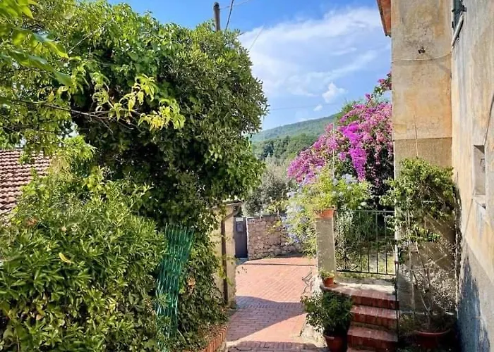 La Prua Di *